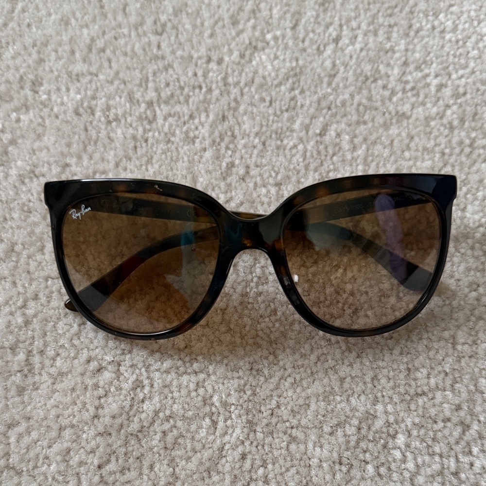 Ray-Ban Women's Brown Erika Cat-Eye Sunglasses